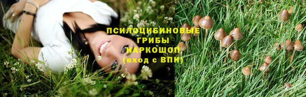 прущие крисы Красноперекопск